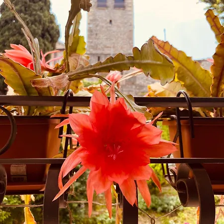 The Tower Of The Old King Desenzano del Garda