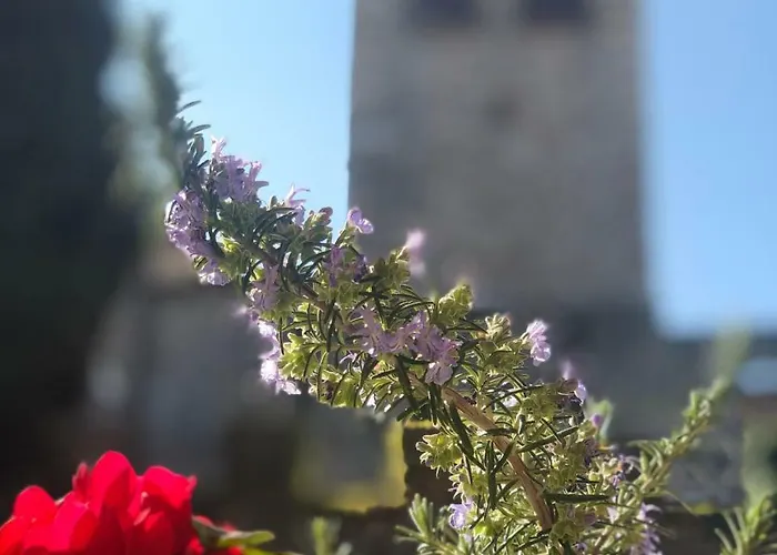 The Tower Of The Old King Bed & Breakfast Desenzano del Garda