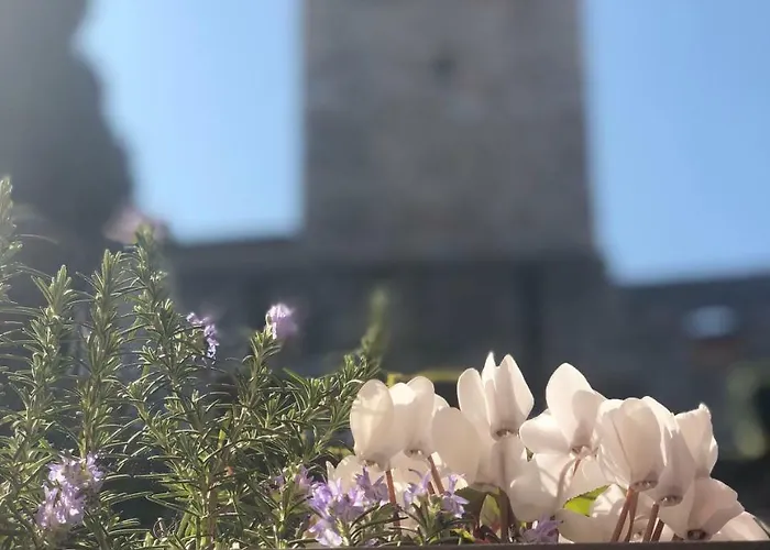 The Tower Of The Old King Bed & Breakfast Desenzano del Garda
